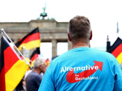 Scandalo Seehofer, la Corte costituzionale ha dato ragione all’AfD