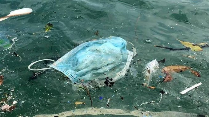 Giornata Mondiale dell'Ambiente