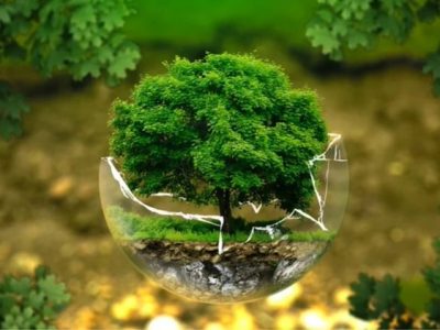 Sviluppo sostenibile e economia circolare: dal passato al presente