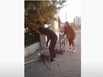 |VIDEO| Orrore nel Livornese: senzatetto uccide e arrostisce gatto in strada