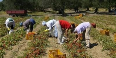 Regolarizzazione dei migranti, 9500 domande in ...