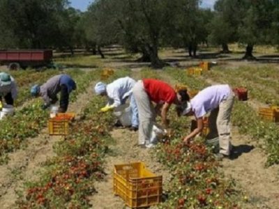 Regolarizzazione dei migranti, 9500 domande in quattro giorni
