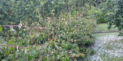 Maltempo, nei primi giorni di giugno milioni di...