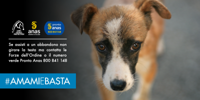 Al via la campagna #AMAMIeBASTA: Anas e LNDC co...