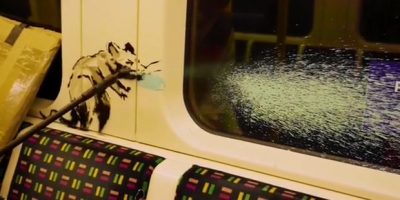 Banksy, la metro di Londra cancella l’ult...