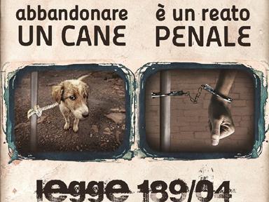 #AMAMIeBASTA Anas LNDC