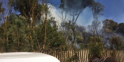 Incendio di sterpaglie alimentato dal vento lam...
