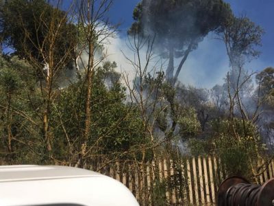 Incendio di sterpaglie alimentato dal vento lambisce abitazioni