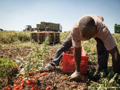 Lavoro, 2 milioni e mezzo di occupati stranieri nel 2019