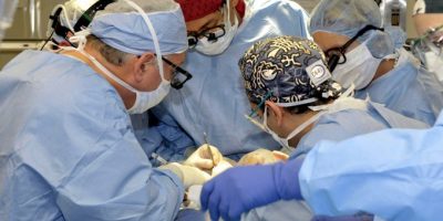 Italia dal cuore d’oro: 68,9% favorevole ...