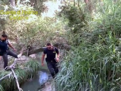 Catania, Guardia Finanza scopre vasta piantagione di marijuana