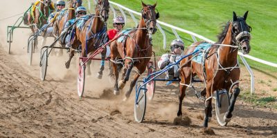 Sconcerto per la morte in pista di Alleluja, ca...
