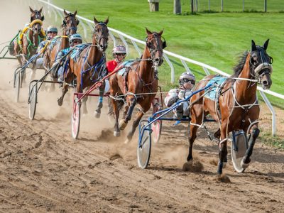 Trotto italiano, La Porta nuovo presidente degli allevatori