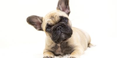 Il 26 agosto si celebra la Giornata Mondiale de...