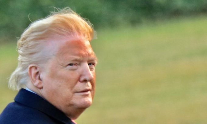 Trump Facebook Twitter