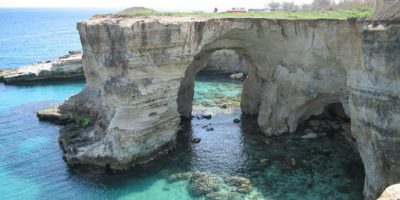 Cade su uno scoglio sottostante da dieci metri,...