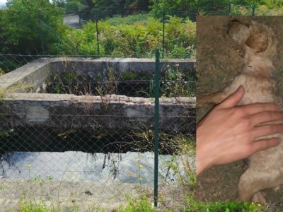 Cucciolo salvato dall’annegamento da una volontaria e da un giovane