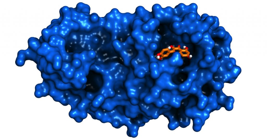 molecola Covid-19