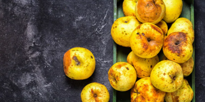 Oggi, 29 settembre, è la 1° Giornata Internazio...