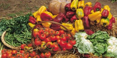 Sprechi alimentari, oltre 1 italiano su 2 si è ...