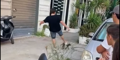 Orrenda bravata a Casoria: ragazzino tira un ca...