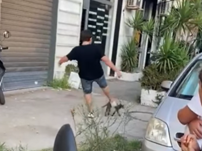 Orrenda bravata a Casoria: ragazzino tira un calcio a un gatto e pubblica il video su Tik Tok