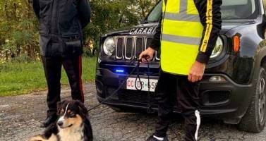 Soccorsi e salvati due cani caduti in una asper...
