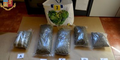 Economia sommersa ed attività illegali, i dati ...