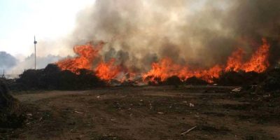Fiamme in una discarica abusiva, il rogo ha ric...