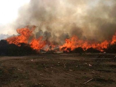 Fiamme in una discarica abusiva, il rogo ha richiamato diverse squadre dei VdF
