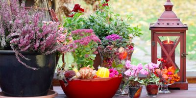 Come abbellire balconi e terrazzi con le piante...