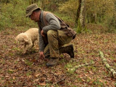 Il tartufo tra passione e professione: come iniziare un percorso da cercatore