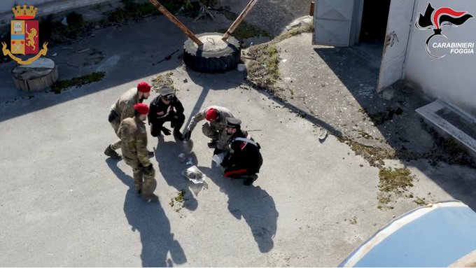 maxi operazione foggia