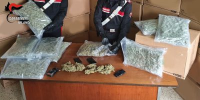 Misinto, maxi sequestro di marijuana: 276 kg di...