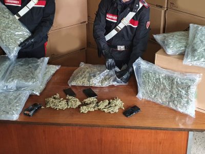 Misinto, maxi sequestro di marijuana: 276 kg di erba e 5 arresti