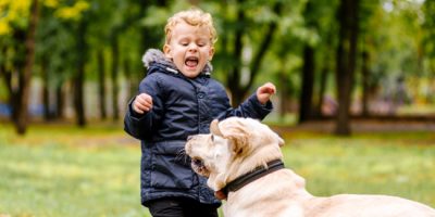 Cinofobia, cos’è e come superarla