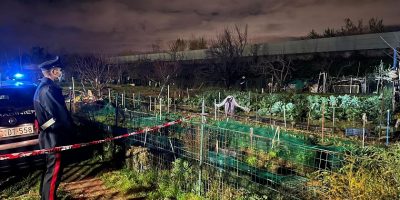 Trovata una valigia con dei resti umani, è il t...