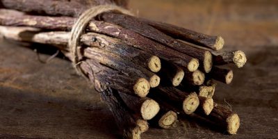 Turkmenistan, il presidente propone la radice d...