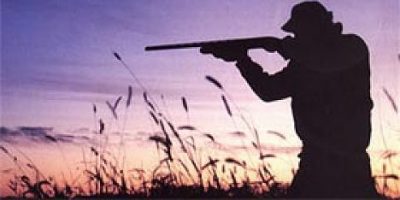 Bracconieri in Aspromonte usando armi dalla mat...