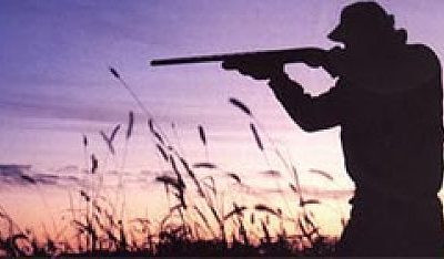 Bracconieri in Aspromonte usando armi dalla matricola abrasa, tre arresti