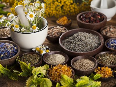 Fitoterapia, che cos’è e quali sono i suoi benefici