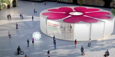 Sarà la primula il simbolo della campagna di va...