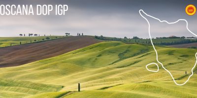 La Toscana per il rilancio punta sul cibo e sul...