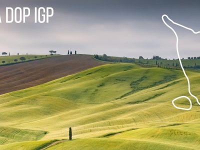 La Toscana per il rilancio punta sul cibo e sul vino Dop e Igp