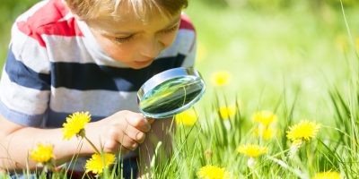 Scuola, educazione ambientale: la fondazione So...