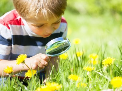 Scuola, educazione ambientale: la fondazione Sorella Natura al servizio della comunità
