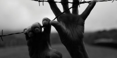 Giornata della memoria: per non dimenticare le ...