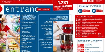 Paniere Istat, la pandemia come ha cambiato la ...