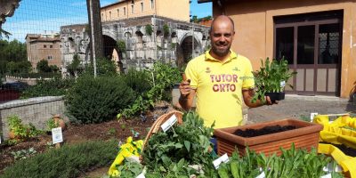 Produzione propria di frutta e verdura per 4 fa...