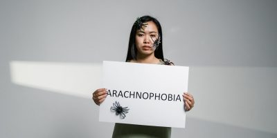Aracnofobia, la paura dei ragni e come superarla